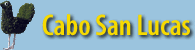 cabo san lucas